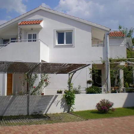 Sonja Croatia ムルテル